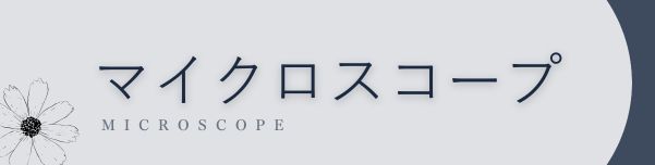 マイクロスコープ精密治療